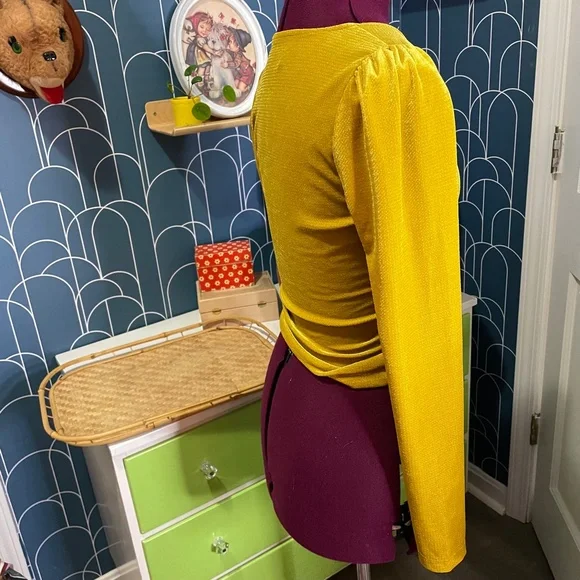 Gold Velvet Deep V Long Sleeve Top Size Medium - Picture 4 of 8